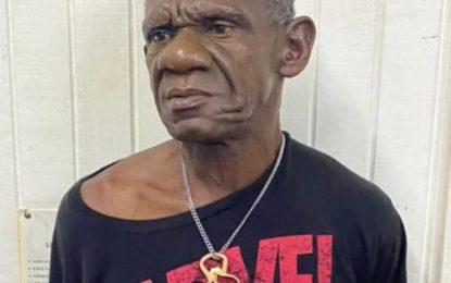 Handyman jailed for breaking into businesswoman’s property