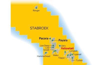 US$10B Yellowtail project running ahead of schedule – Hess