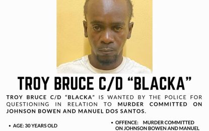 Wanted bulletin issued for suspects in the Linden double-murder