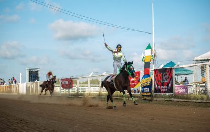 Ariana’s Vision & Wild Texas Tom now in the lineup for the One Guyana Breeders Cup $2,000,000 purse