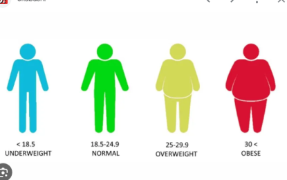 Body Mass Index (BMI) a good indicator of health and wellness