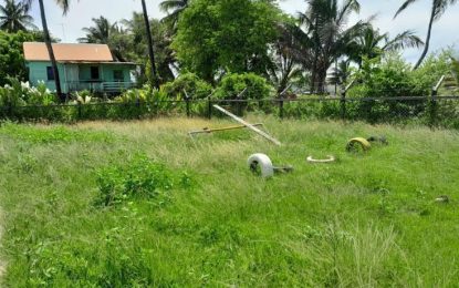 Victoria Nursery School compound overrun with bushes