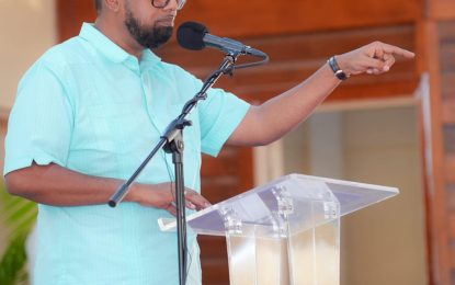 Spanish could be a compulsory subject in schools – President Ali hints