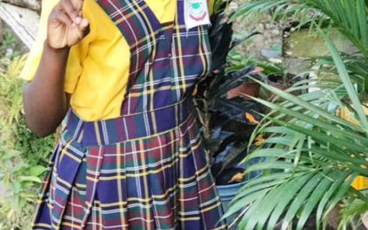 Unlicenced motorcyclist who caused death of Sophia school girl, jailed three years