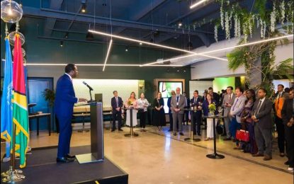 Foreign Affairs Minister delivers address at reception for Guyana’s UN Security Council Bid in New York