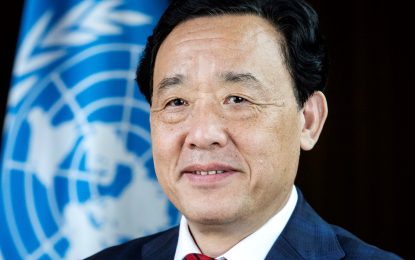 FAO Director-General urges transformation of agri-food systems