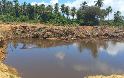 NDC and contractors butt heads over removal of dirt at No.58 Village for construction in Berbice