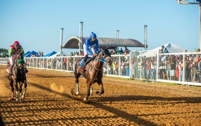 The organisers and stables working at fever pitch for Guyana Cup 2023