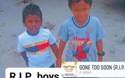 Two brothers die in Moblissa house fire