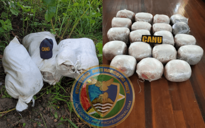 CANU discover $11.2M in ganja at Sandaka Creek