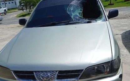 Elderly woman hospitalised following hit-and-run