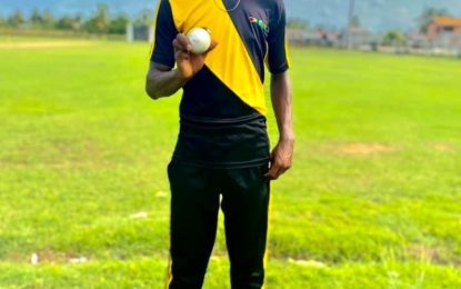 North Essequibo, Achievers, Blairmont, Albion notch up victories