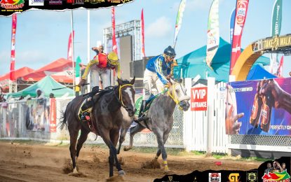 Rachel, a racehorse to note