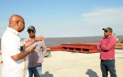 $607M already spent on incomplete Leguan Stelling