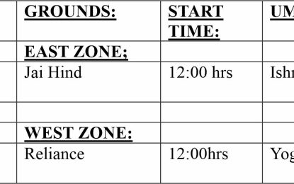 Peter Lewis Construction & Asphalt Plant Services Big Man Cricket-2 @ O40s Round 3 fixtures