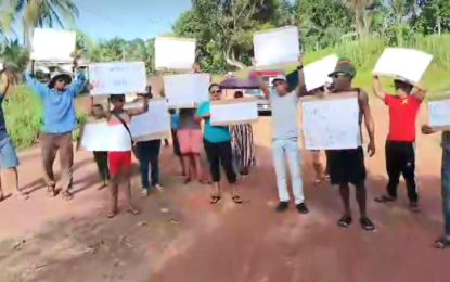 Wauna $18M carbon credit scandal