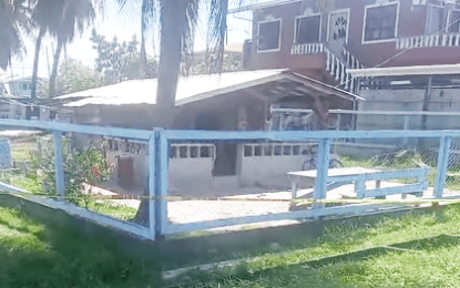 Youth in custody for stabbing older brother to death