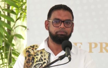 Oil sector drives 59.5% growth in GDP during first half of 2023 – Mid-Year Report