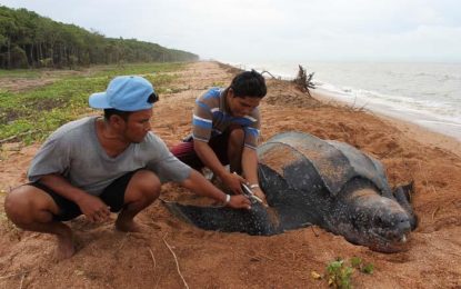 ExxonMobil study did not assess how an oil spill will affect Guyana’s coast