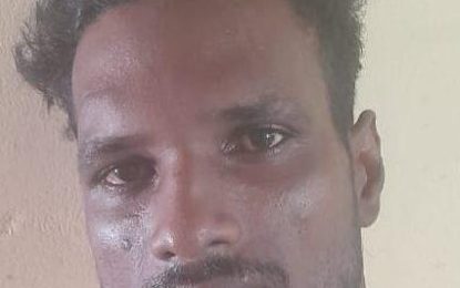 Man remanded for setting fire to Guyanese ‘Tik Toker’ house