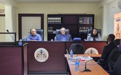 Response team was adequate, effective and ‘did well’ given circumstances – Mahdia COI hears