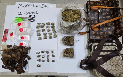 Mahdia vendors nabbed with marijuana