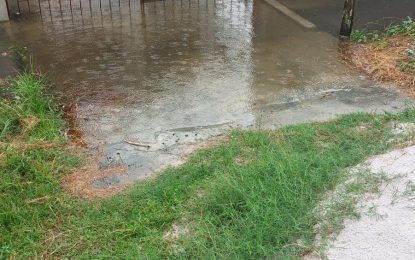 Zeeburg residents say businessman left debris on the roadway, causing flooding in the area