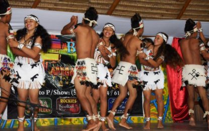 Amerindian heritage in focus 