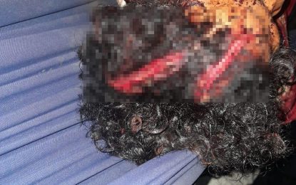 Man chopped by father-in-law at Kurutuku Village, Reg. 7