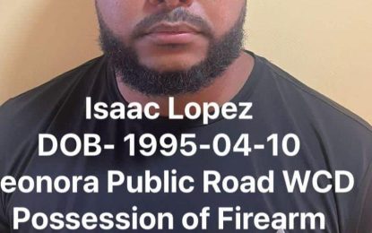 Venezuelan arrested for discharging firearm