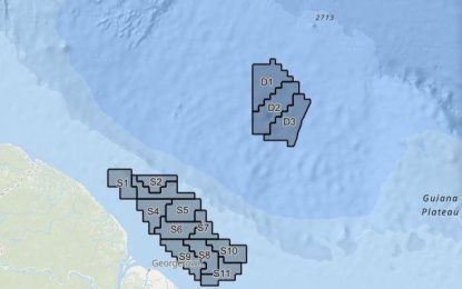 Despite 10% royalty, payment of more taxes, Exxon-led Group still throws in bid for new oil blocks