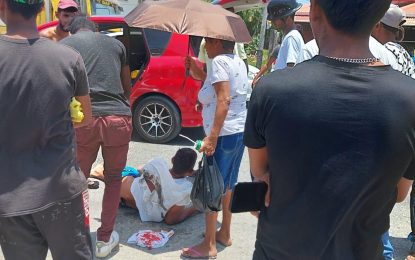 Motorcyclist dies after crashing into truck