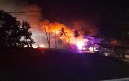 Perpetrators to be penalized for setting forests fires – Ministry of Natural Resources