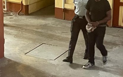 ‘Glass technician’ placed on $100,000 bail for alleged fraud