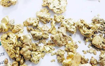 Guyana gold exports decline by US$38 Million in six months
