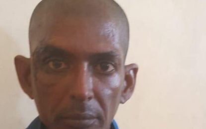 Labourer gets two years for vandalising property