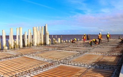 Leguan Stelling in limbo