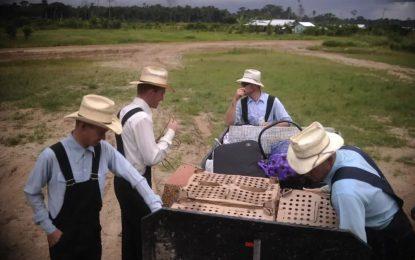 Mennonites eye large-scale land in Guyana for farming project