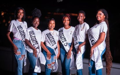 Six beauties to vie for ‘Miss Crane’ 2023