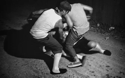 School boys’ brawl at Diamond was gang related – police