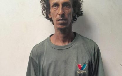 ‘Robot’ jailed for stealing poultry