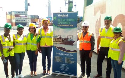 Shipping company launches “Less than container load” service