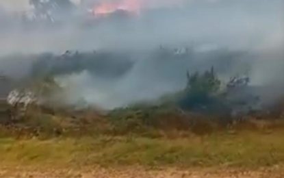 Fire flattens Enmore lumber yard