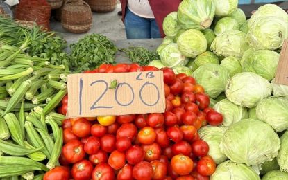 ‘No end in sight for drop in prices for greens’