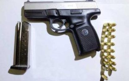 Businessman remanded for gun, ammo possession at GuyExpo