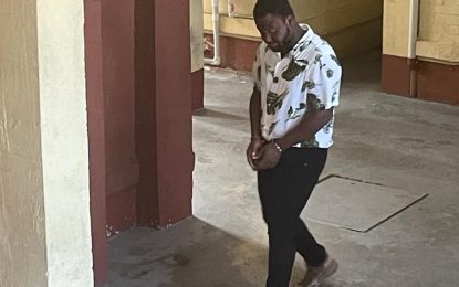 Security guard says he stole service revolver for protection