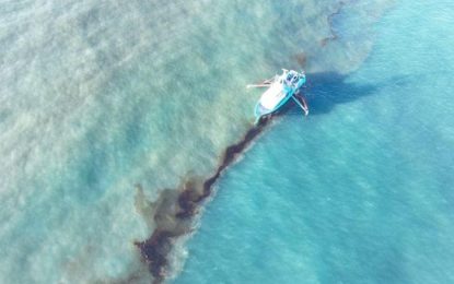 Oil spill tops 1 million gallons, threatens Gulf of Mexico wildlife