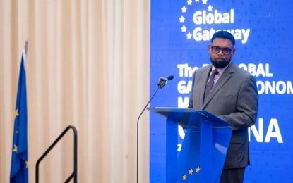 ‘Best incentives in Guyana’ – Pres. Ali tells EU investors