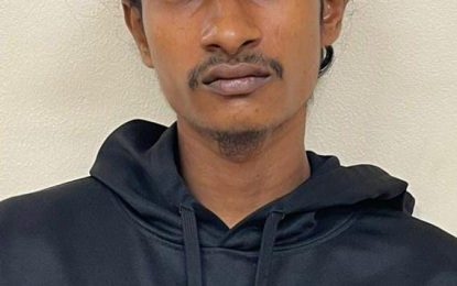 Two remanded, mastermind on the run