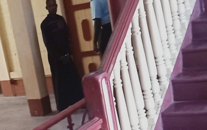 Man remanded for illegal firearm, ammo